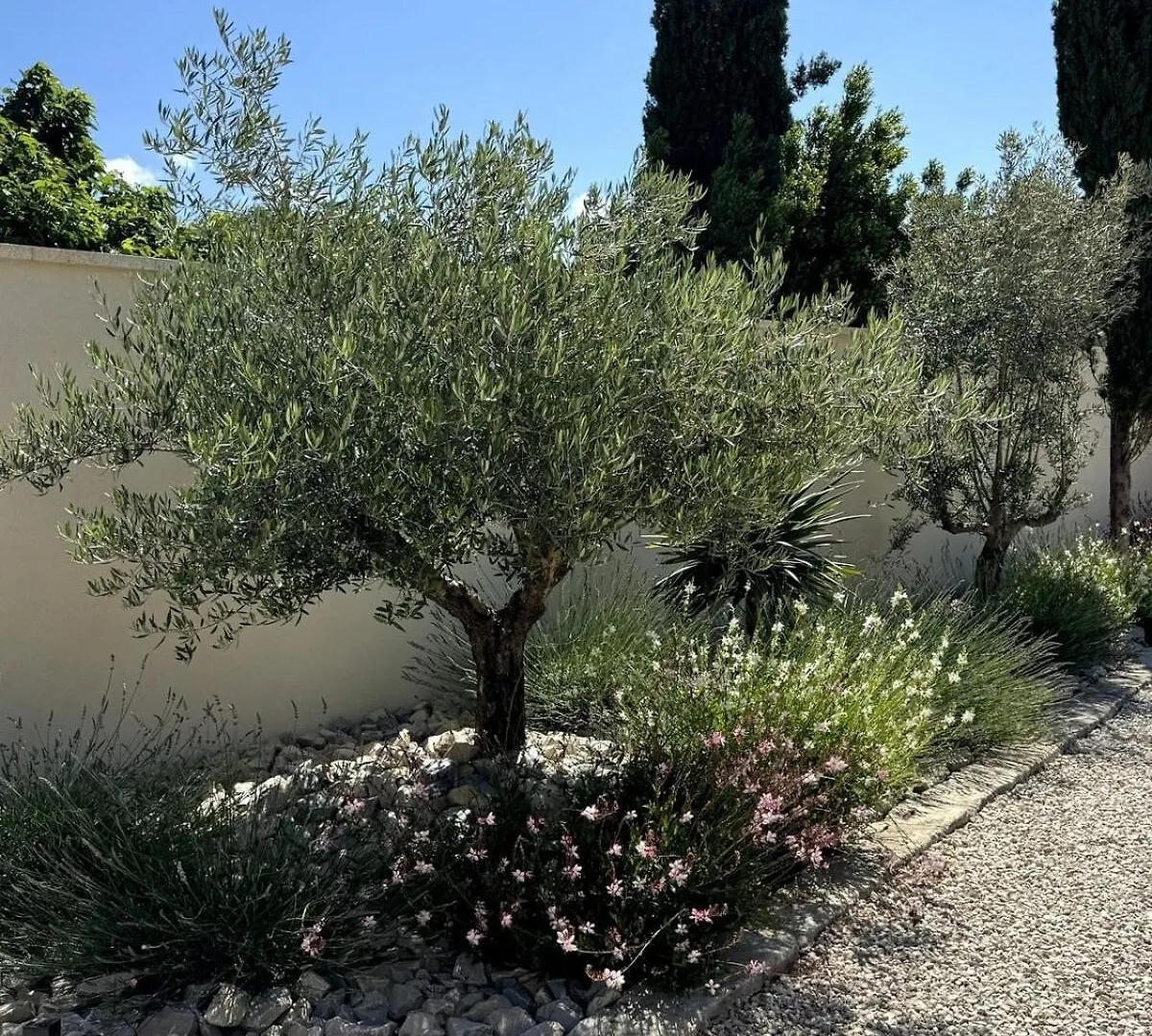 Les Lauriers Blancs Air-Conditioned Villa With Swimming Pool 0*, L'Isle-sur-la-Sorgue France
